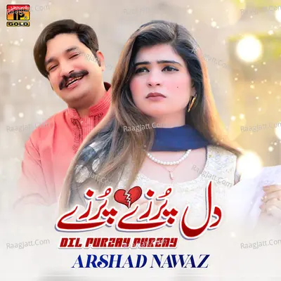 Dil Purzay Purzay - Single