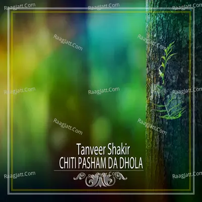 Chiti Pasham Da Dhola - Single Cover