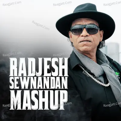 Radjesh Sewnandan Mashup Cover