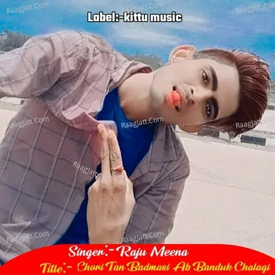 Raju Meena Image
