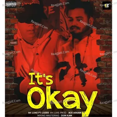 Its Okay Cover