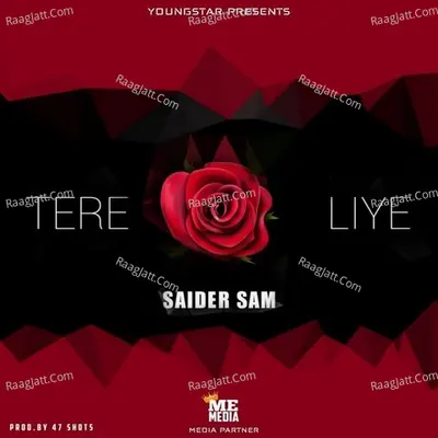 Tere Liye