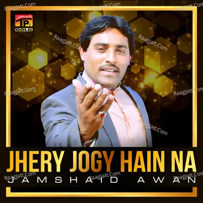 Jhery Jogy Hain Na - Single Cover