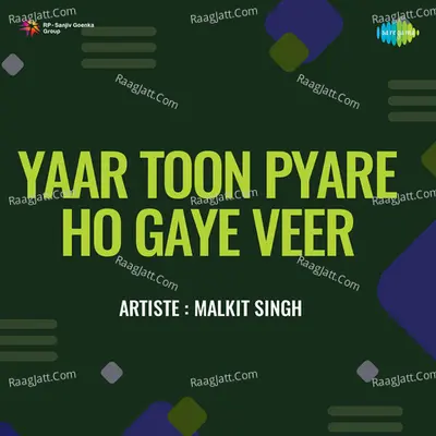 Yaar Toon Pyare Ho Gaye Veer Cover