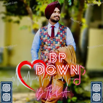 Bp Down Cover