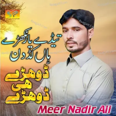Tede Yaar Nakhray - Single