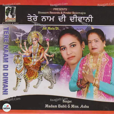 Tere Naam Di Diwani Poster