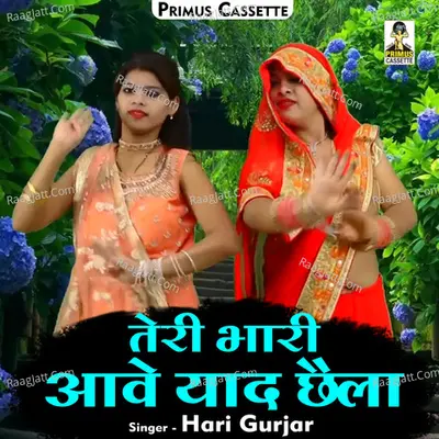 Teri bhari aave yaad chhaila