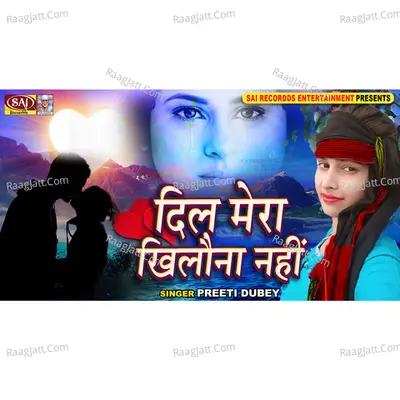 Dil Hai Mera Khilona Nahi - Preeti Dubey