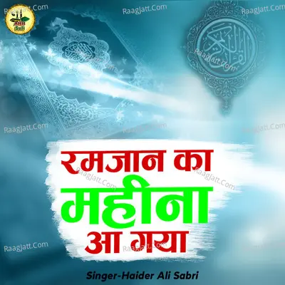 Haider Ali Sabri Image