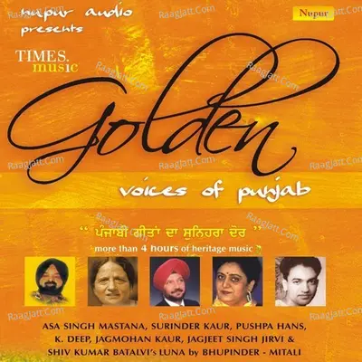Golden Voice Of Punjab Poster