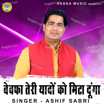 Bewafa Teri Yaadon Ko Mita Dunga Cover