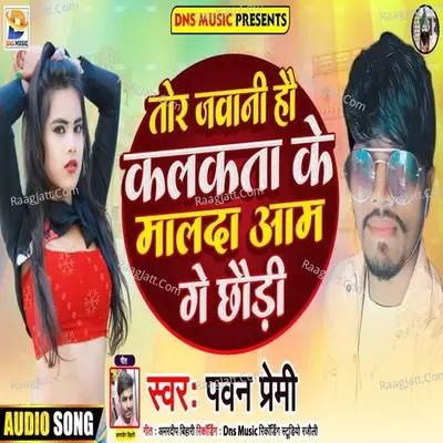 Tore Jawani Hau Kalakata ke Malada Aam Ge Chaudi Cover