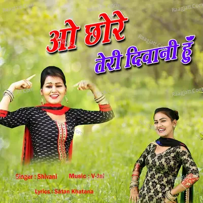 O Chhore Teri Deewani Hu Poster