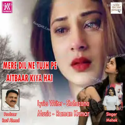 Mere Dil Ne Tujh Pe Aitbaar Kiya Hai Cover