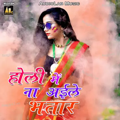 Holi Mein Na Ayile Bhatar Poster