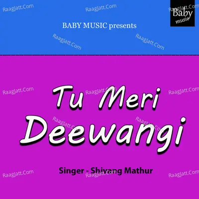 Tu Meri Deewangi Cover