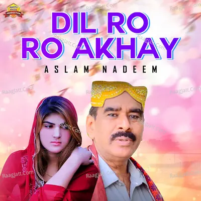 Aslam Nadeem Image