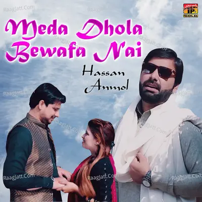 Hassan Anmol Image