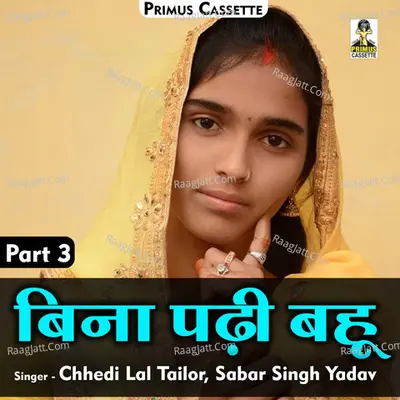 Bina Padi Bahu Part-3 Cover