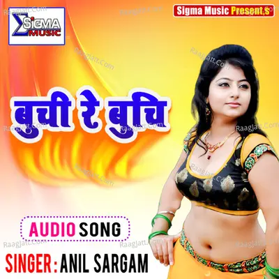 Anil Sargam Image