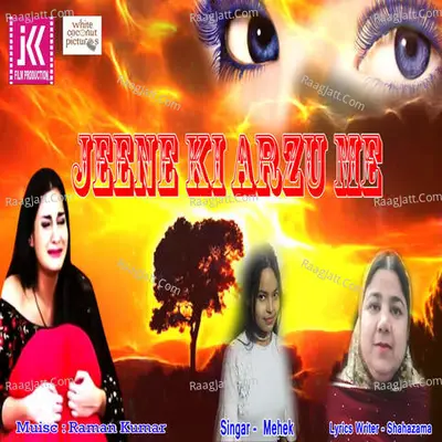 Jeene Ki Arzu Me Cover