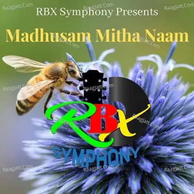 Madhusam Mitha Naam Cover