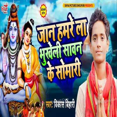 Jaan Hamare La Bhukheli Sawan Ke Somari Cover