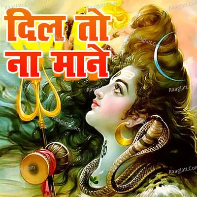 Dil To Na Mane Cover