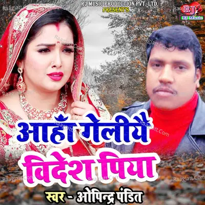 Singer Opindar Pandit Image