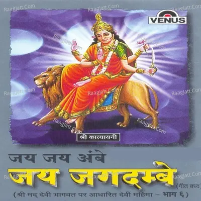 Jai Jai Ambe Jai Jagdambe - 6 - Narendra Chanchal