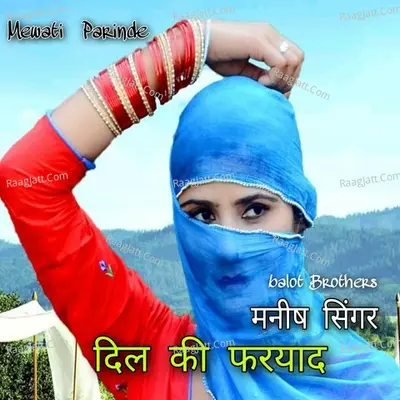 Dil ki faryad Cover