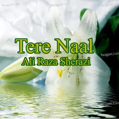 Tere Naal - Single