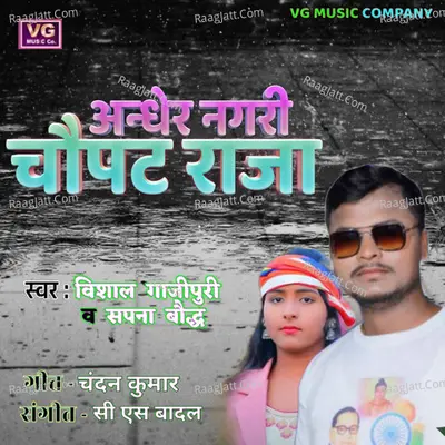 Vishal Ghazipuri Image