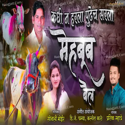 KADHIN NA HARALA PUDHECH SARLA MEHBOOB BAIL Cover