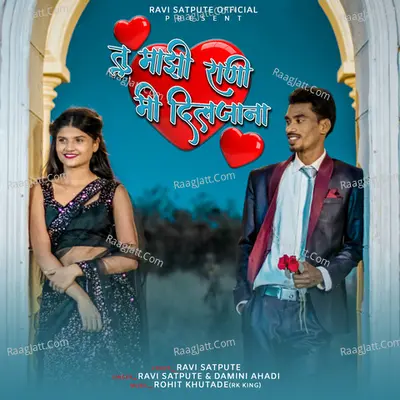 Tu Mazi Rani Mi Diljana Cover