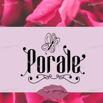 Porale Cover