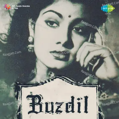 Buzdil Poster