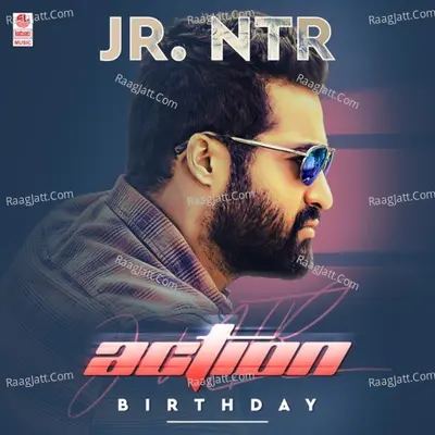 Jr. Ntr Action Birthday - Devi Sri Prasad
