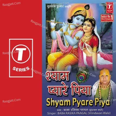 Na Hum Kisi Ke Na Koi Hamara Poster