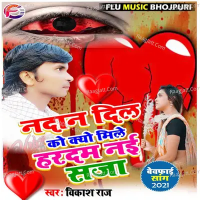Nadan Dil Ko Kyo Mile Hardam Nayi Saja Cover