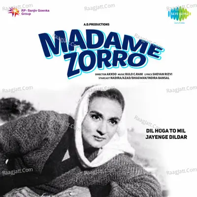 Madame Zorro Poster