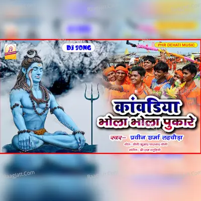 Praveen Sharma Lahchaura Image