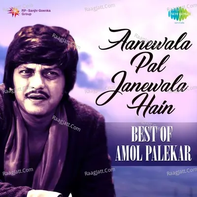 Aanewala Pal Janewala Hain - Best of Amol Palekar Poster