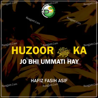 Huzoor Ka Jo Bhi Ummati Hay Cover