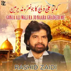 Gonja Ali Wali Ka Jo Naara Ghadeer Me - Single