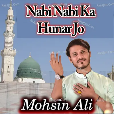 Nabi Nabi Ka Hunar Jo
