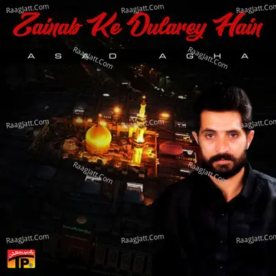 Zainab Ke Dularey Hain Poster