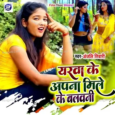 Yarawa Ke Apna Mile Ke Balawani Cover