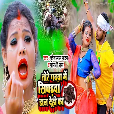 Tore Gadwa Me Singharwa Dal Dehi Ka Cover